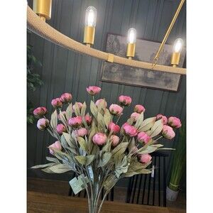 Set of 10 Viral Ashland Pink Peony Stems From Michael’s NEW 2026